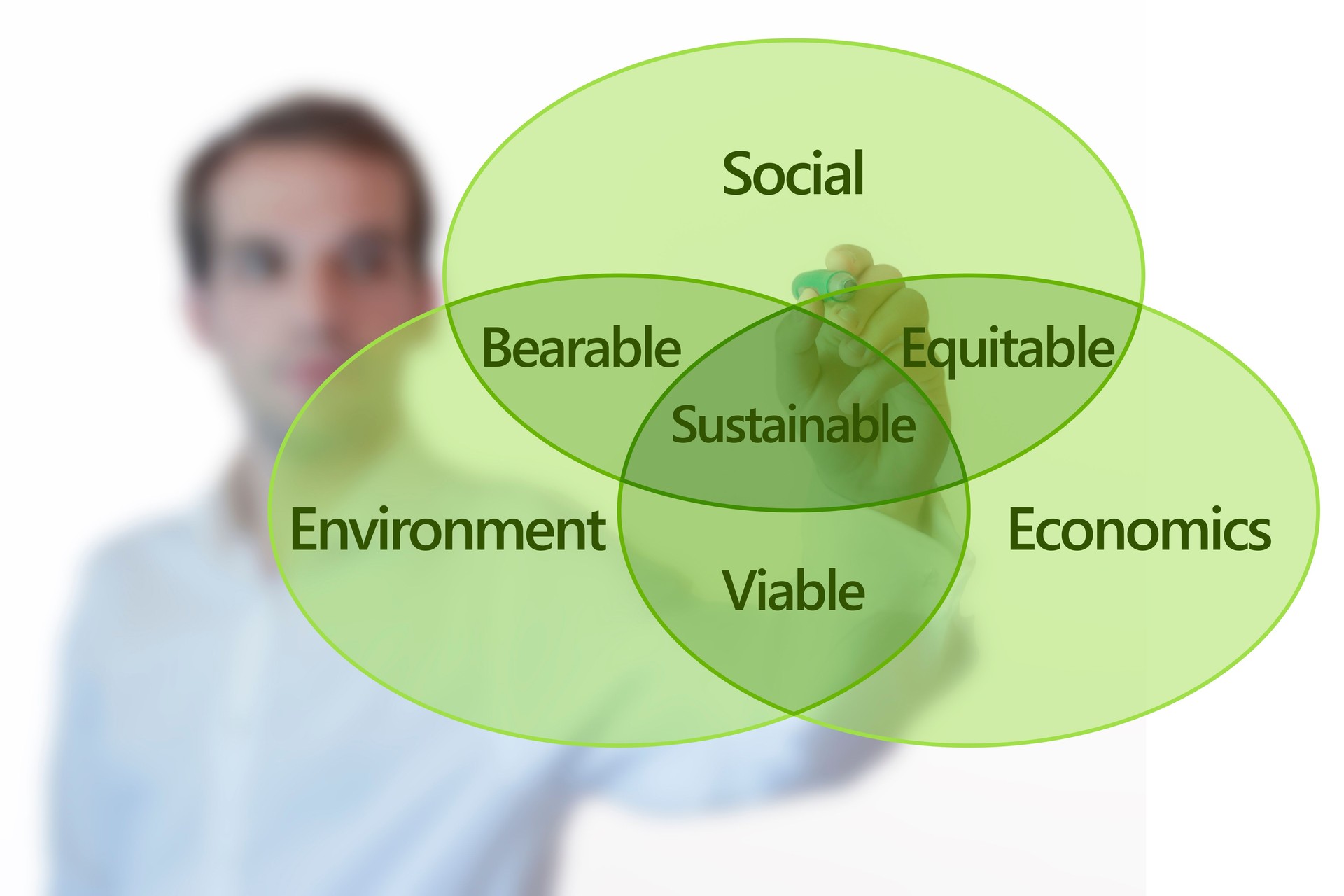 Businessman presenting a chart about sustainable development