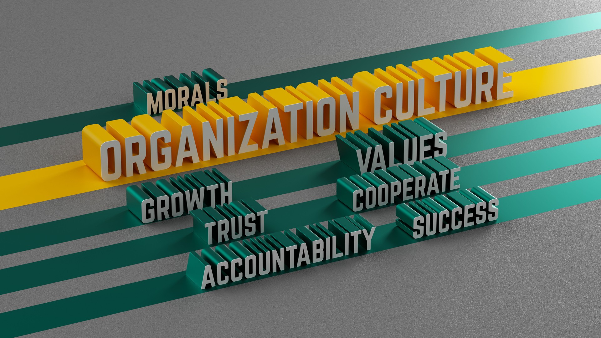 Building Organization Culture: 3D Visualization of Shared Values